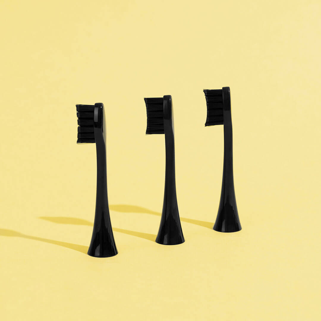 Pack 3 Têtes de Brosse