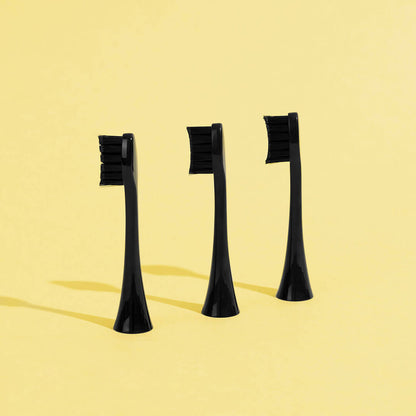Pack 3 Têtes de Brosse