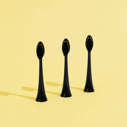 Pack 3 Têtes de Brosse
