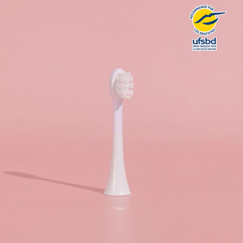 Têtes de Brosse - Enfant (abonnement)