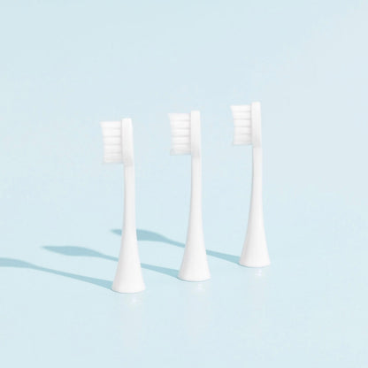 Pack 3 Têtes de Brosse