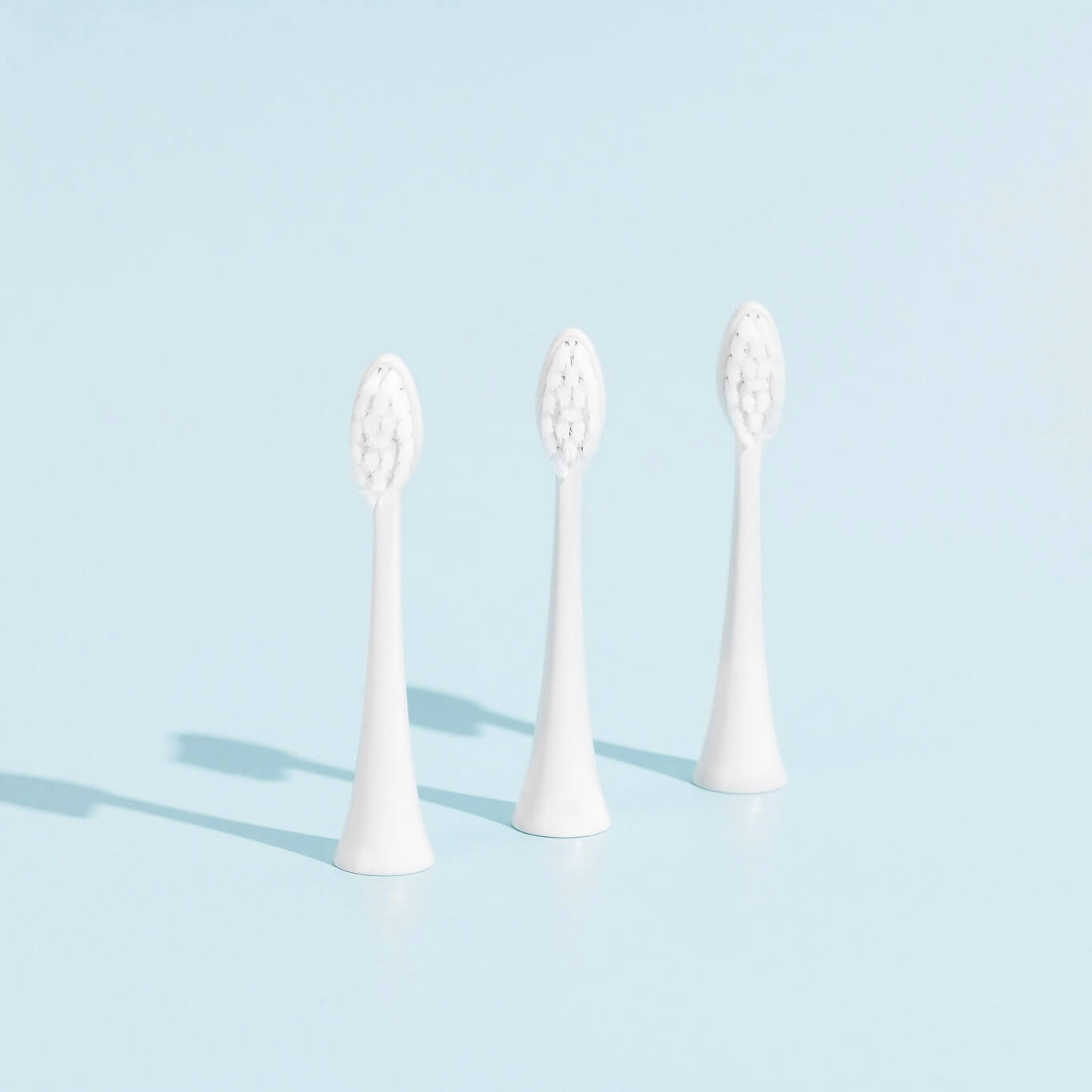 Pack 3 Têtes de Brosse