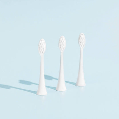 Pack 3 Têtes de Brosse